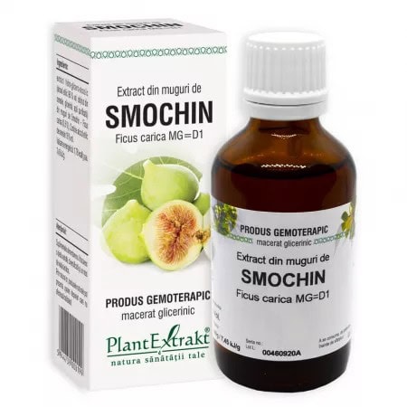 Extract din Muguri de Smochin, 50 ml, Plant Extrakt