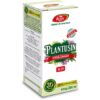 sirop-pentru-diabetici-plantusin-r29-250-ml-fares-o27416-farmacia-morpheus Sirop Pentru Diabetici Plantusin R29, 250 ml, Fares