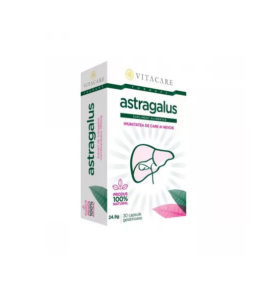 astragalus-forte-30-capsule-vitacare-O34504-farmacia-morpheus Astragalus Forte, 30 Capsule, Vitacare