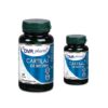 cartilaj-de-rechin-pachet-60-30-capsule-dvr-pharm-O36151-farmacia-morpheus Cartilaj de Rechin Pachet 60 + 30 Capsule, DVR Pharm