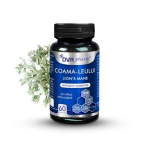 Coama Leului - Lion's Mane, 60 Capsule, DVR Pharm