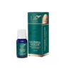 Ulei Esential Integral de Ghimbir, 5 ml, Bionovativ