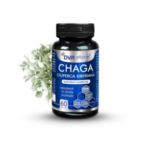 Chaga, Ciuperca Siberiana, 60 Capsule, DVR Pharm