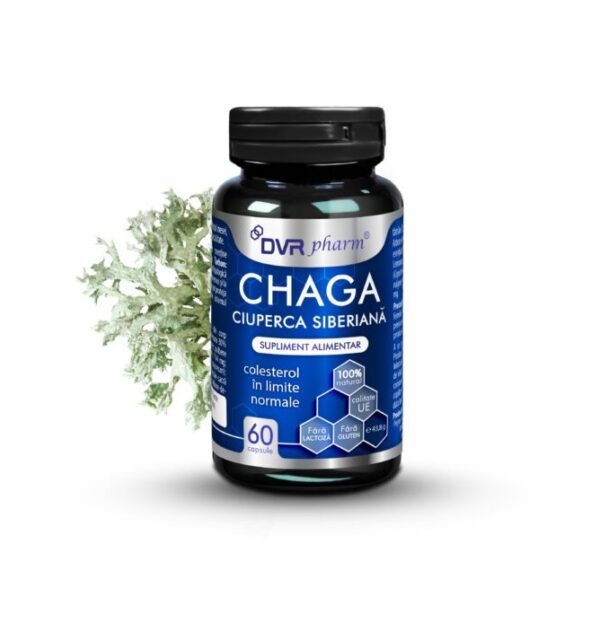 chaga-ciuperca-siberiana-60-capsule-dvr-pharm-O39685-farmacia-morpheus Chaga, Ciuperca Siberiana, 60 Capsule, DVR Pharm