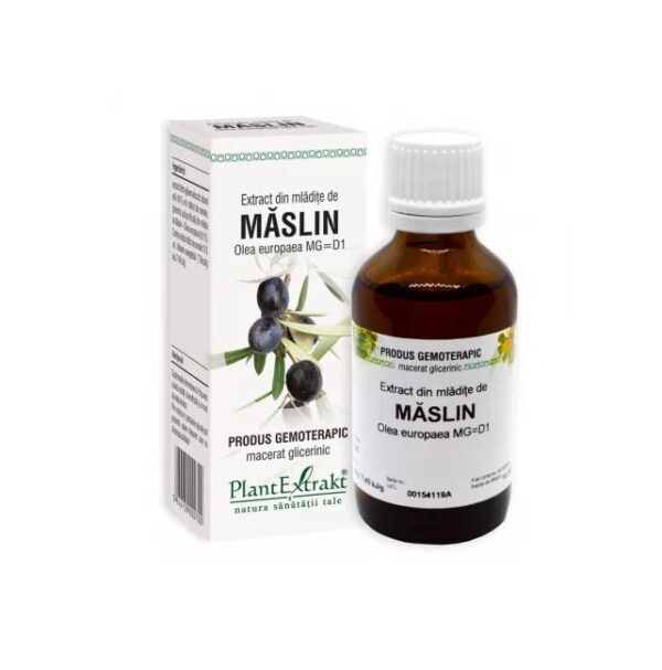 Extract din Mladite de Maslin, 50 ml, Plant Extrakt