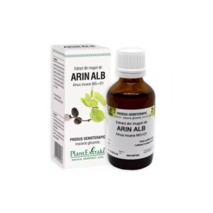 extract-din-muguri-de-arin-alb-50-ml-plant-extrakt-O31469-farmacia-morpheus Extract din Muguri de Arin Alb, 50 ml, Plant Extrakt