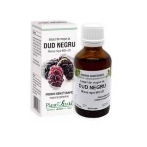 extract-din-muguri-de-dud-negru-50-ml-plant-extrakt-O30385-farmacia-morpheus Extract din Muguri de Dud Negru, 50 ml, Plant Extrakt