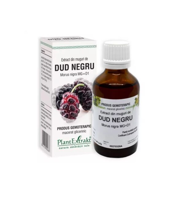 Extract din Muguri de Dud Negru, 50 ml, Plant Extrakt