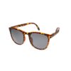 Ochelari de Soare Unisex, TRZA125 C298 P01, Vupoint