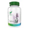 salvie-60-capsule-pro-natura-O30537-farmacia-morpheus Salvie, 60 Capsule, Pro Natura
