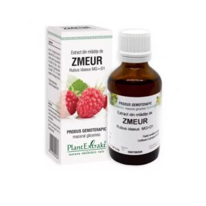 Extract din Mladite de Zmeur, 50 ml, Plant Extrakt