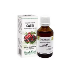 Extract din Muguri de Calin, 50 ml, Plant Extrakt