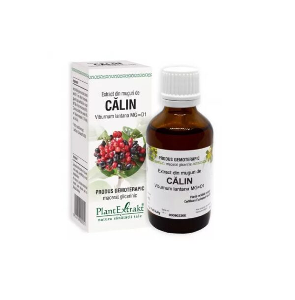 Extract din Muguri de Calin, 50 ml, Plant Extrakt