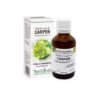 Extract din Muguri de Carpen, 50 ml, Plant Extrakt