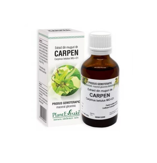 Extract din Muguri de Carpen, 50 ml, Plant Extrakt