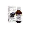 extract-din-muguri-de-coacaz-negru-50-ml-plant-extrakt-O24678-farmacia-morpheus Extract din Muguri de Coacaz Negru, 50 ml, Plant Extrakt