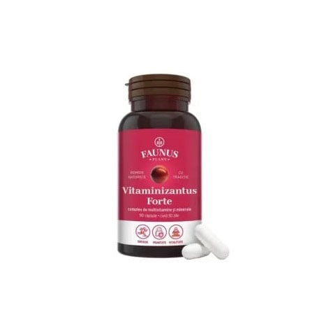 Vitaminizantus Forte, 90 Capsule, Faunus Plant