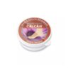 balsam-pentru-calcaie-30-ml-transvital-O04237-farmacia-morpheus Balsam pentru Calcaie, 30 ml, Transvital