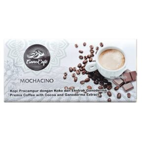 Cafea Mochacino, 15 Plicuri, Gano Excel