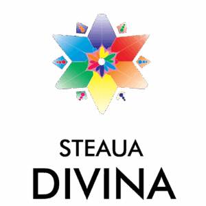 steauadivina Fitofibromstop, 60 Capsule, Steaua Divina
