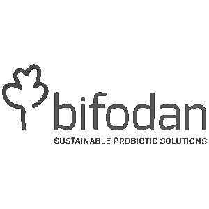 bifodan Impruvis Probiotic Fast Melt, 10 Plicuri, Bifodan