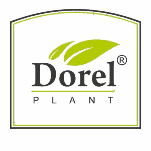 dorelplant Plante naturale Dorel Plant pentru sănătate și frumusețe, suplimente și remedii naturale.