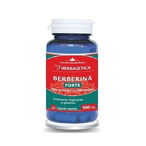 Capsule naturale pentru colesterol și trigliceride, susține sănătatea cardiovasculară.