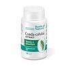 Extract natural pentru detoxifiere, diuretic și remineralizant, supliment alimentar pentru sănătate.