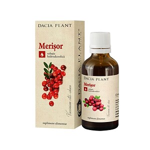 Merișor. Sirop de merișor pentru sănătate, soluție hidroalcoolică naturală.