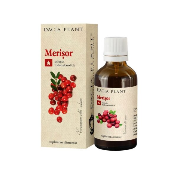 Merișor. Sirop de merișor pentru sănătate, soluție hidroalcoolică naturală.