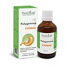 Polygemma 1 Stomac, 50 ml, Plant Extract Polygemma 1 Stomac, extract natural pentru sănătatea stomacului, 50 ml.