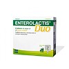 Enterolactis Duo, 20 plicuri pentru sănătatea digestivă Produs Enterolactis Duo pentru sănătatea digestivă și echilibru intestinal.