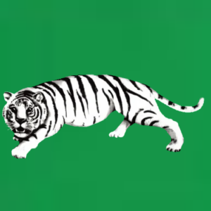 Creion Nazal, 1g, Hill Tiger