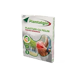 Plasturi cu Pelin pentru dureri cervicale, 6 bucăți, Plantalgin.