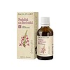 Pufuliță cu flori mici, soluție hidroalcoolică, pentru sănătate naturală.