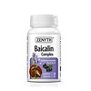 Baiocalin Complex Zenyth Supliment alimentar pentru imunitate, cu extract de soc și afine.
