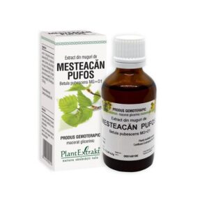 Extract din Muguri de Mesteacan Pufos, 50 ml, Plant Extrakt