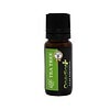 ulei-esential-tea-tree-10ml-onedia-O44481-farmacia-morpheus Ulei Esential Tea Tree, 10ml, Onedia