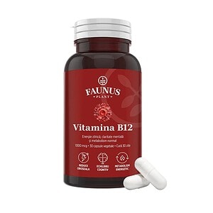 Vitamina B12 - Farmacia Morpheus Capsule de Vitamina B12 pentru energie și sănătate mentală.